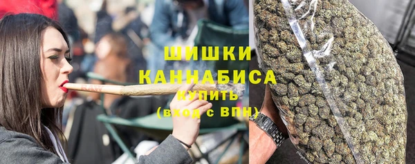 ПСИЛОЦИБИНОВЫЕ ГРИБЫ Белоозёрский