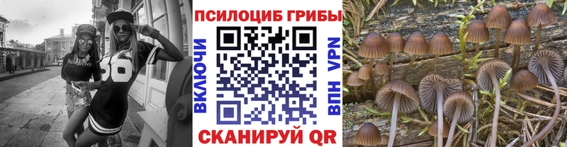 Псилоцибиновые грибы MAGIC MUSHROOMS  Сибай 